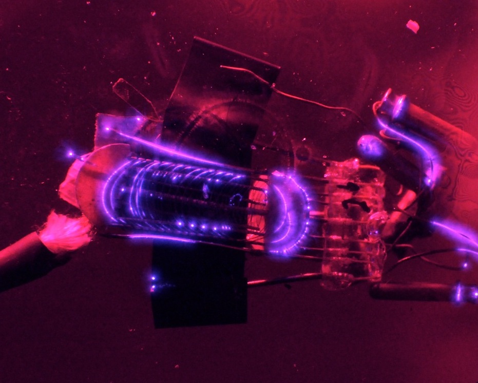 Jessica LLoyd Jones & Ant Dickinson