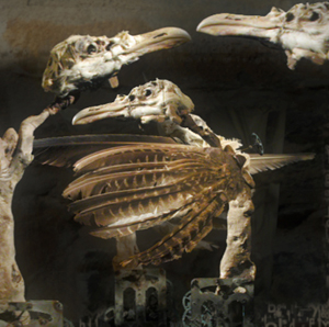 Sean Vicary & Steve Knight.