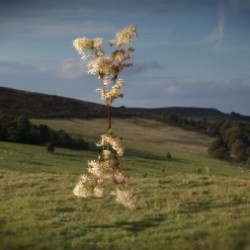 Sean Vicary & Steve Knight