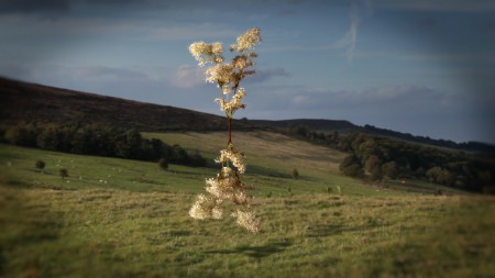 Sean Vicary & Steve Knight