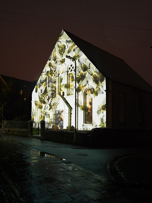 Bees. Wendy Dawson. blinc12