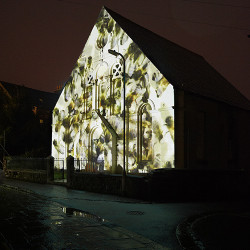 Bees. Wendy Dawson. blinc12