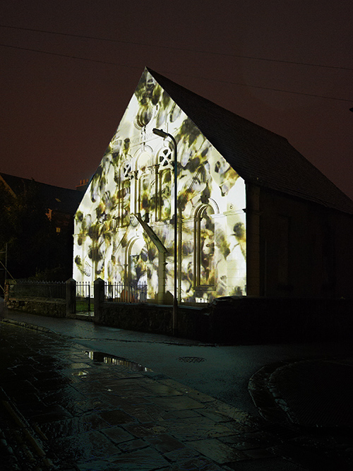 Bees. Wendy Dawson. blinc12