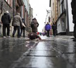 Mole. Bedwyr Williams