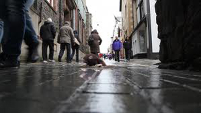 Mole. Bedwyr Williams