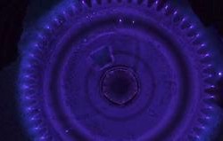 Jessica LLoyd Jones & Ant Dickinson