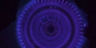 Jessica LLoyd Jones & Ant Dickinson