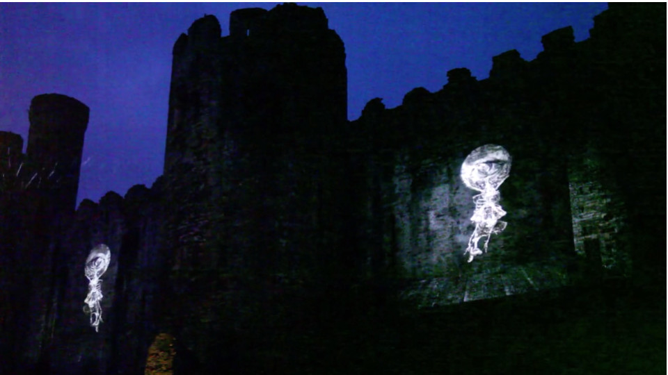 Sean Vicary & Steve Knight. Murmuration