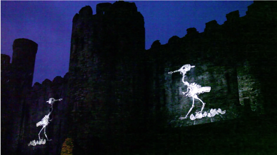 Sean Vicary & Steve Knight. Murmuration