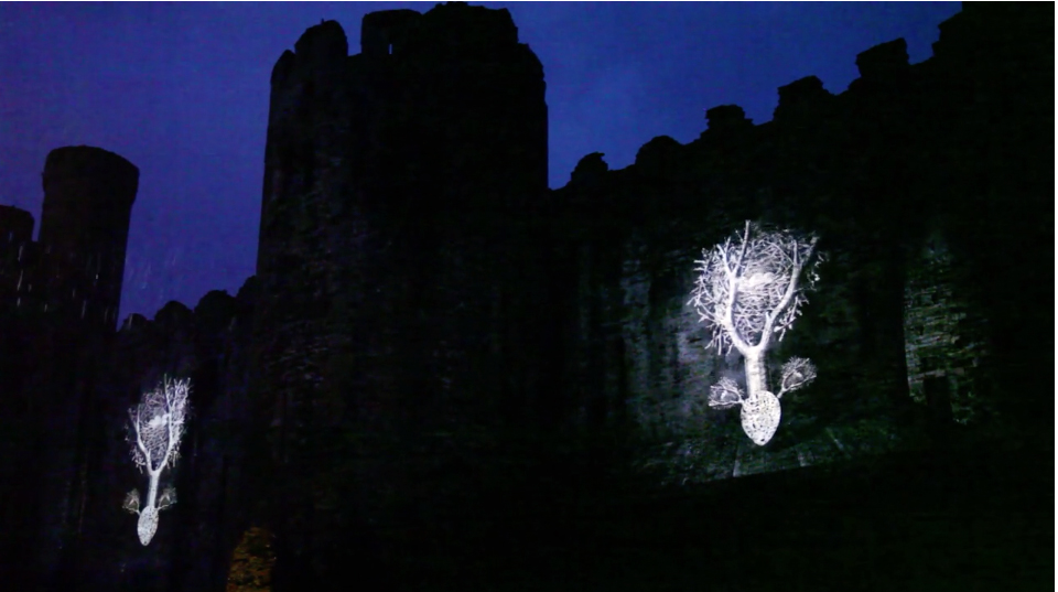 Sean Vicary & Steve Knight. Murmuration