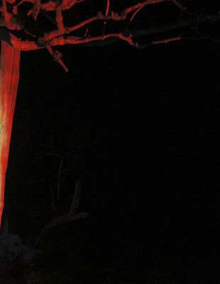 Seth D'Arcy -Schewe Featured