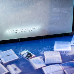 Green Bay. Craig Morrison